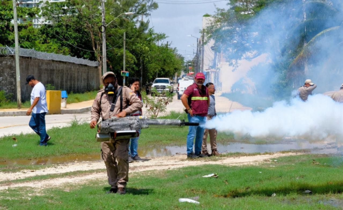 Continua fumigación en BJ