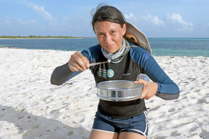La Fundación de Parques y Museos de Cozumel apoya a la investigación de microplásticos en Punta Sur