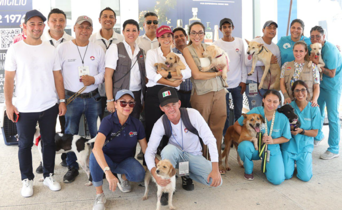 Crea Ana Aaty Peralta cultura de protección al cuidado del medio ambiente y a los animales