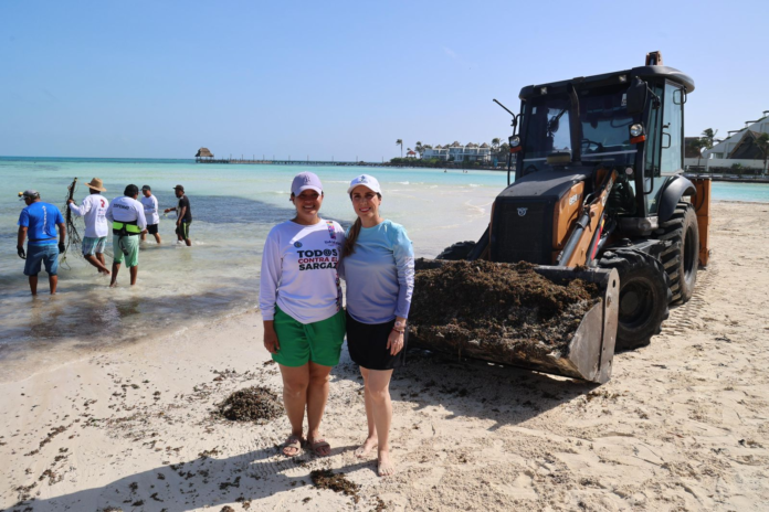 atiende recale de sargazo en Isla Mujeres