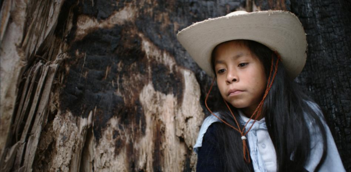 Danae Ahuja, la primera niña mixteca nominada al Ariel tras su debut en el cine