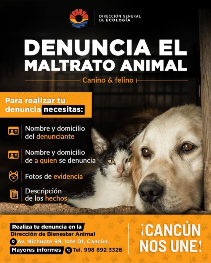 Autoridades de Benito Juárez, invitan a denunciar actos de maltrato animal
