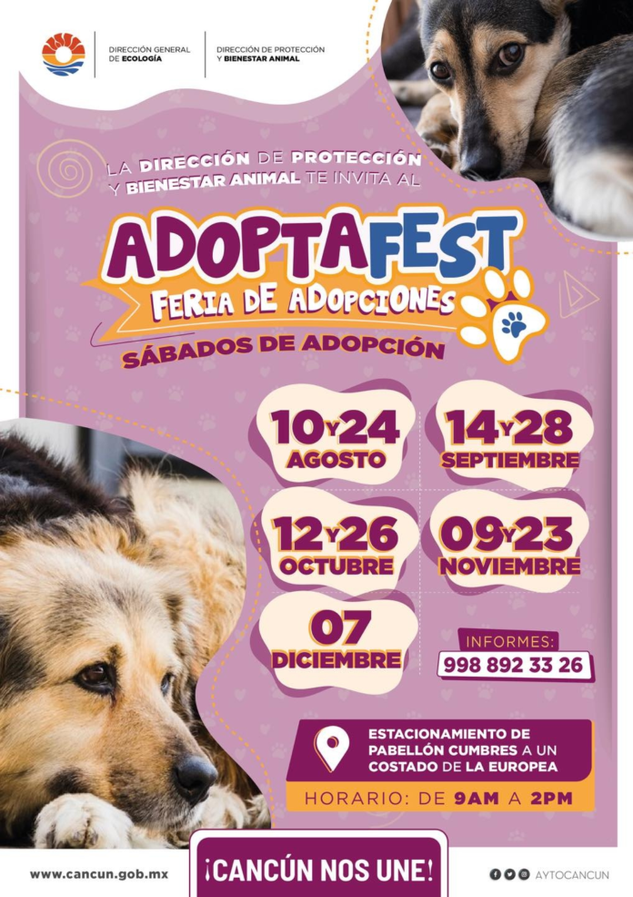 Invita el gobierno de Benito Juárez a adoptar mascotas de forma responsable